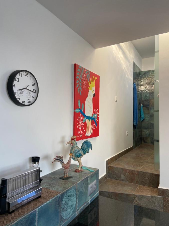 Villa Oasis La Paz - Acaymo Loft - Adults Only - Puerto de la Cruz  Esterno foto