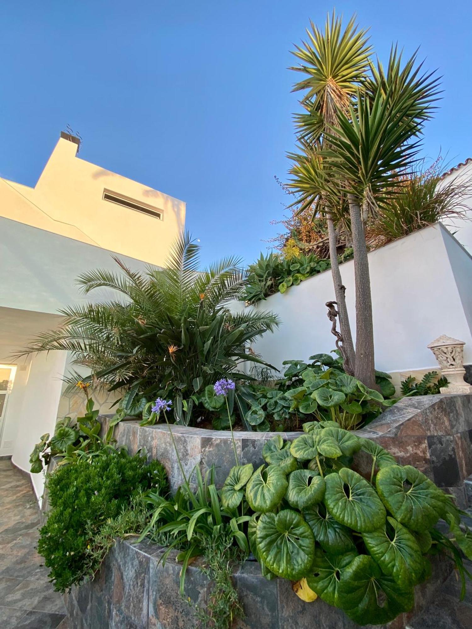 Villa Oasis La Paz - Acaymo Loft - Adults Only - Puerto de la Cruz  Esterno foto