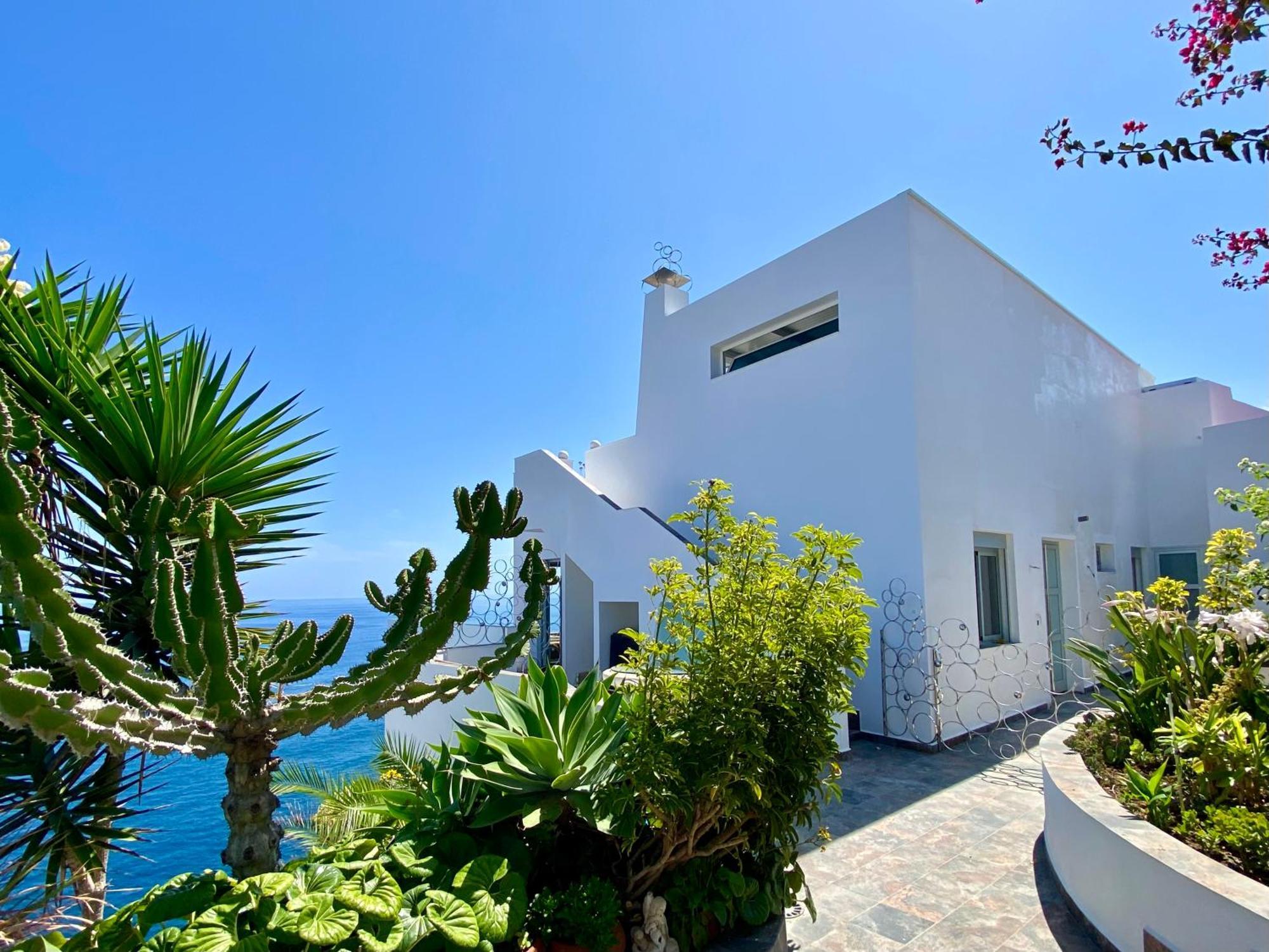 Villa Oasis La Paz - Acaymo Loft - Adults Only - Puerto de la Cruz  Esterno foto